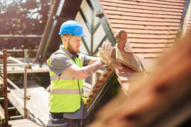 Best Affordable Roof Replacement  in Lake City, IA