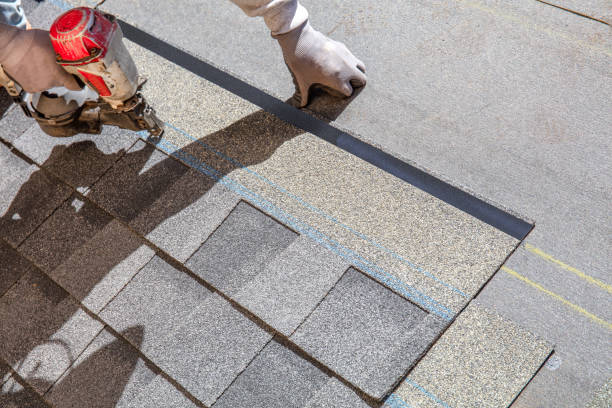 Best Metal Roofing Contractor  in Lake City, IA